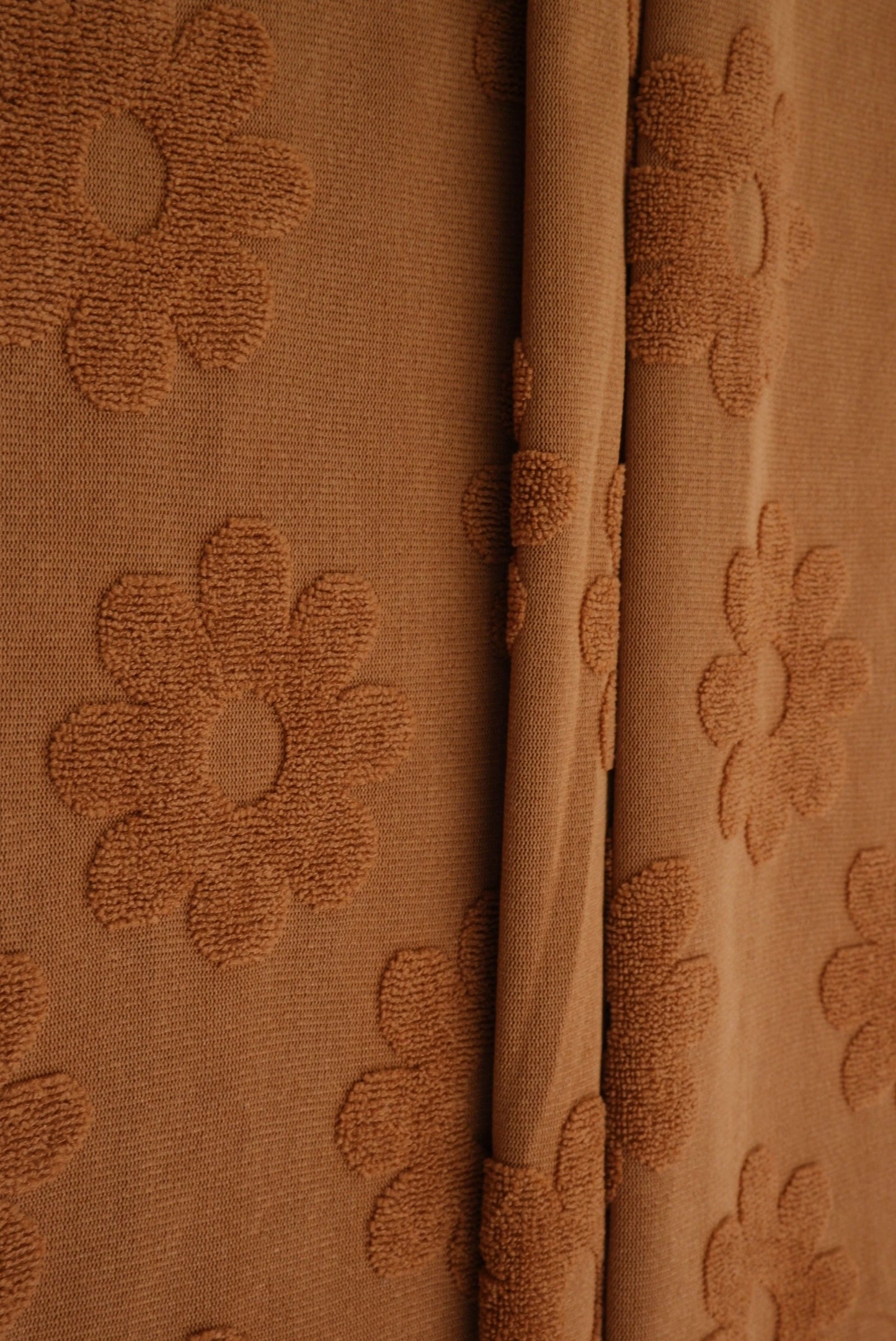 Brown Daisy
