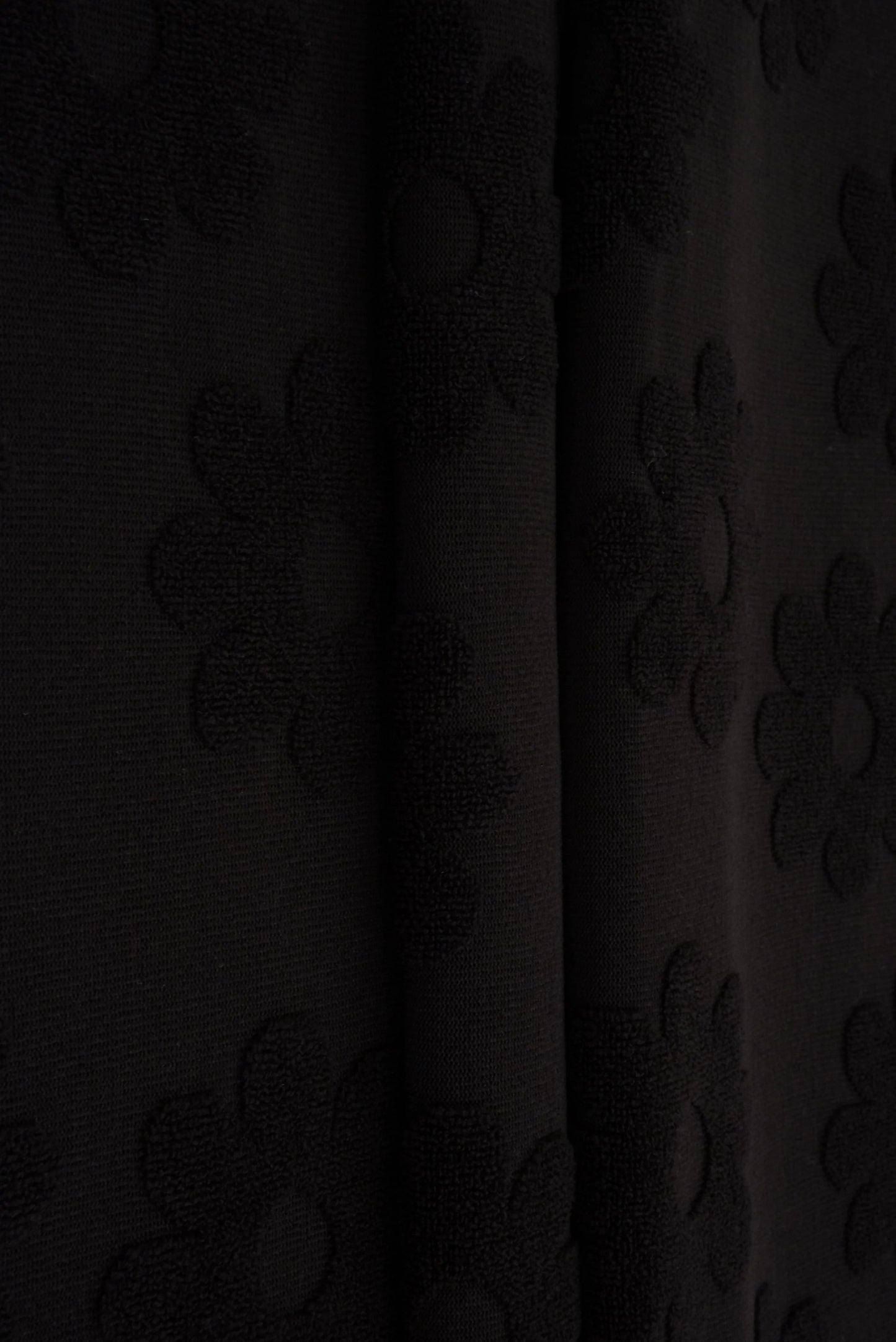 Black Daisy