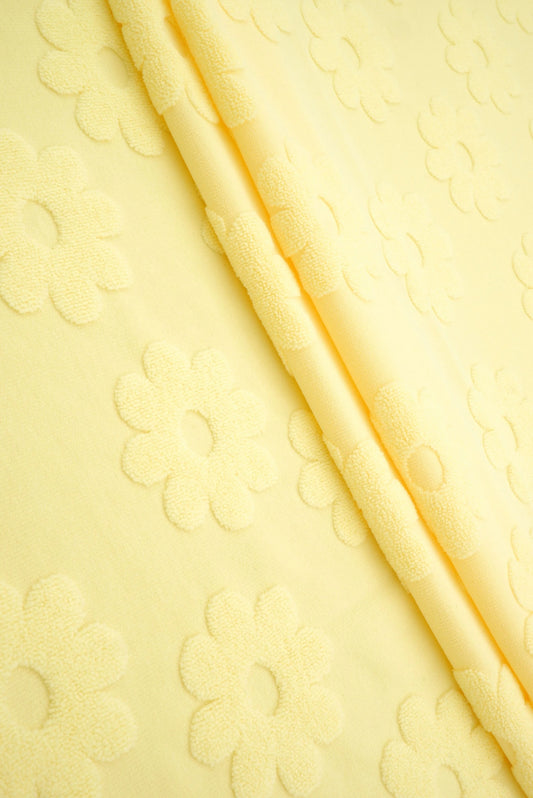 Yellow Daisy