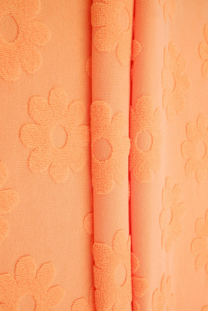 Orange Daisy