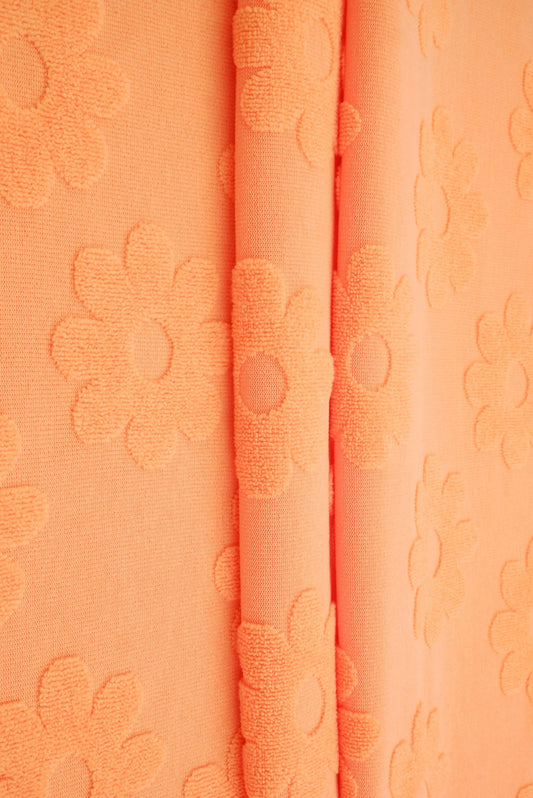Orange Daisy