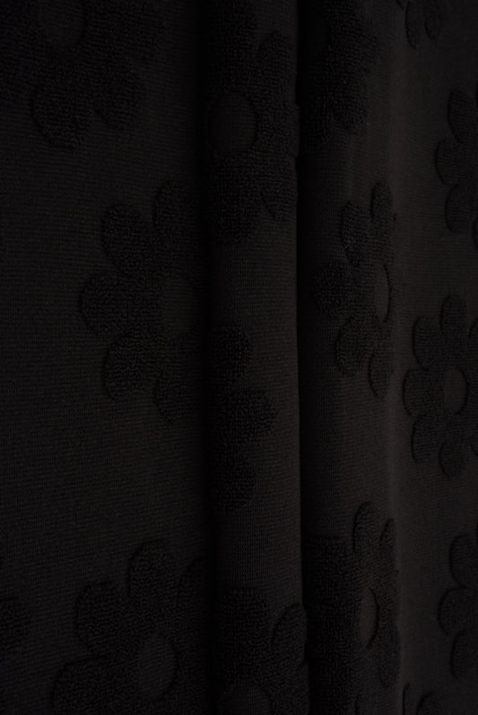 Black Daisy
